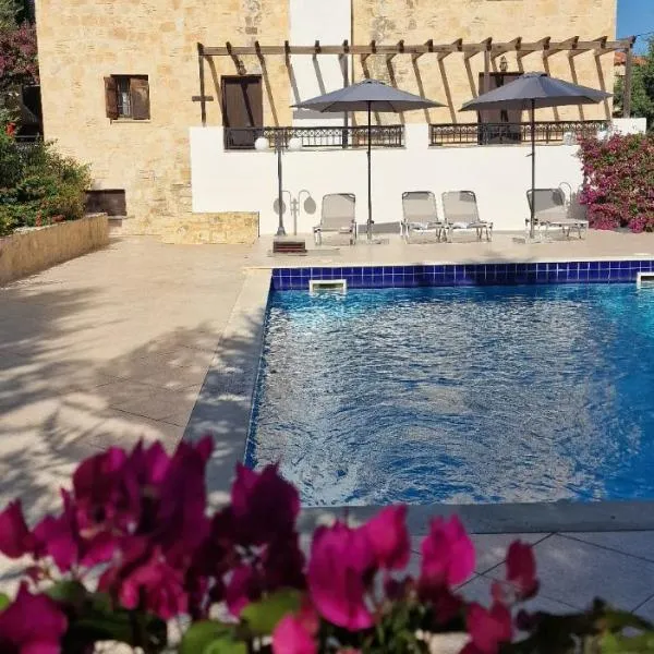 Villa Penelope, Space, Peace & Style, hotel in Douliana
