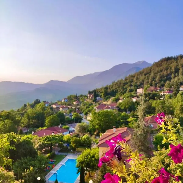 Guesthouse Anthoula, hotel in Derviziana