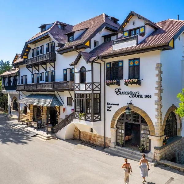 Elafos Hotel, hotel v destinaci Sálakos