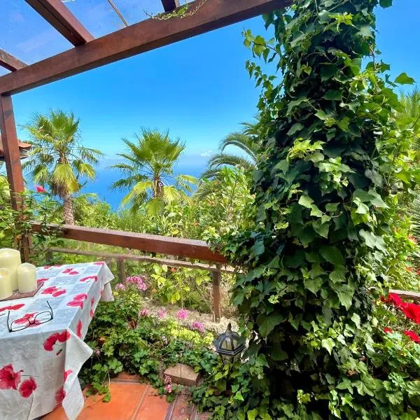 Finca Tenerife - Cozy Studio mit Traumblick & tropischem Garten, hotel in Icod de los Vinos