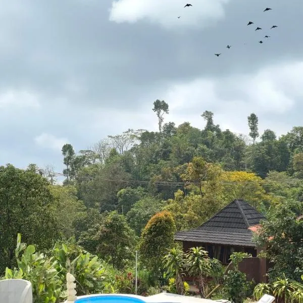 Manigelang Villa, hotel in Munduk