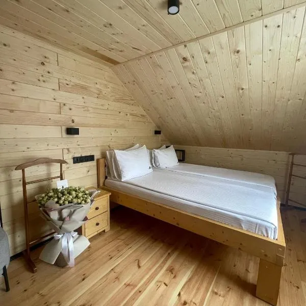 Gremi Hotel, hotel di Dragobrat