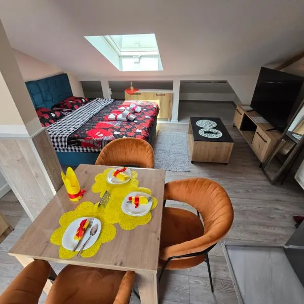 Doksim Luxury Apartments 301, hotel in Pirot