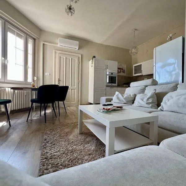 City Centre Piac View Apartment, hotel in Debrecen