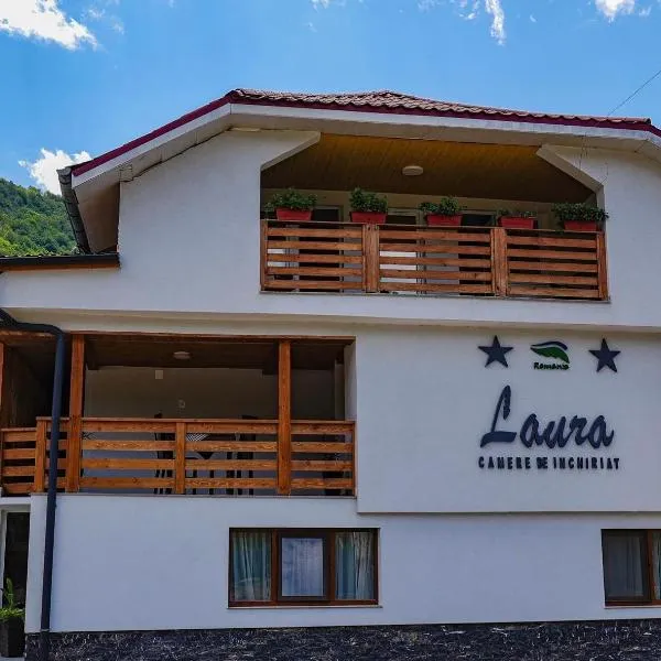 Pensiunea Laura, hotel v destinaci Chişcău