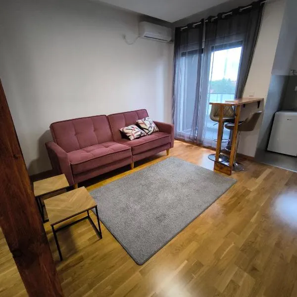 Cozy Studio, hotel in Beograd