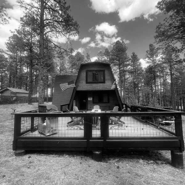 Grand Canyon Cabin! One hour and 10 minutes to the South Entrance!, hotel in Williams