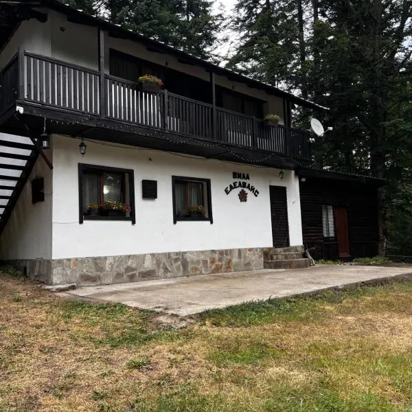 Вила Еделвайс, hotel in Dobrinishte