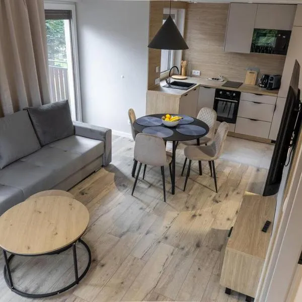 Apartament Premium w sercu Karpacza 10, hotel in Karpacz