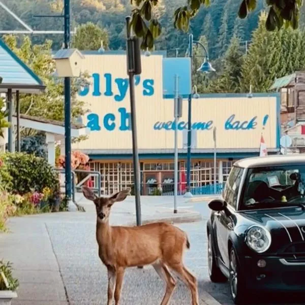PRIVATE HOUSE and private HOT TUB Seas The Day Pets BBQ Beaches Artists Studio Lower Gibsons The Bay, hotel in Gibsons
