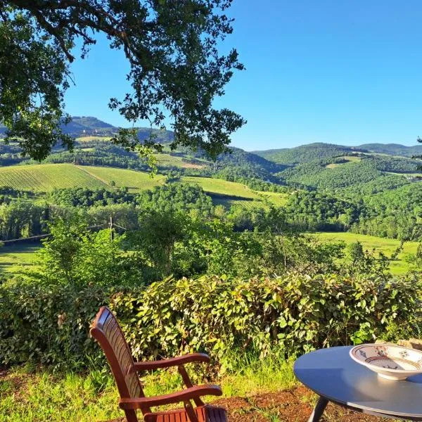 Appartamento Holly House, hotel in Radda in Chianti