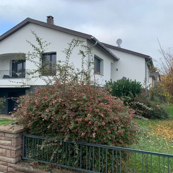 Chambre Spacieuse pour Familles ou Groupes 5 Pers plus Bébé, hotel in Hoenheim
