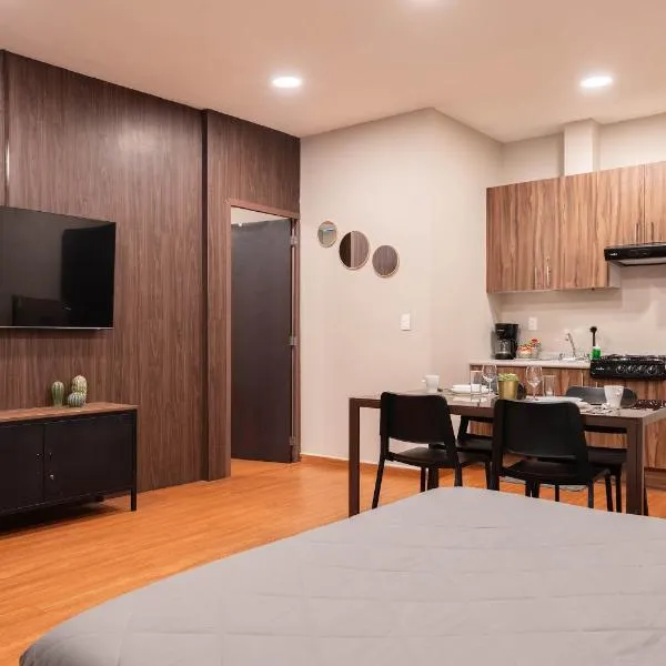 307 Spacious AC apt Historic CDMX Rooftop, hotel in Mexico City