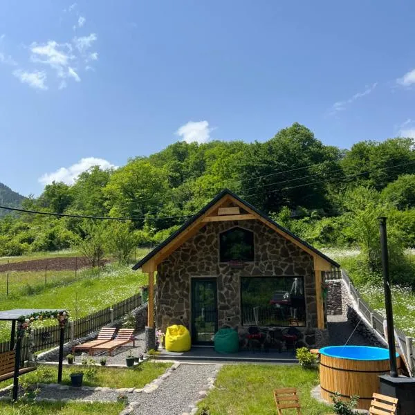 Woodlandia Resort Borjomi، فندق في بورجومي