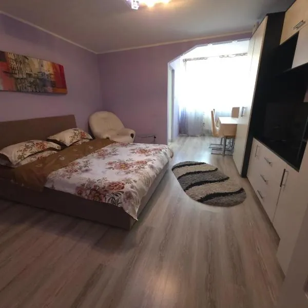 Garsoniera-studio in Zalău, hotel in Zalău