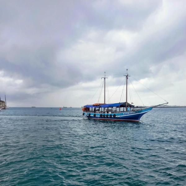Tour às Ilhas-Salvador