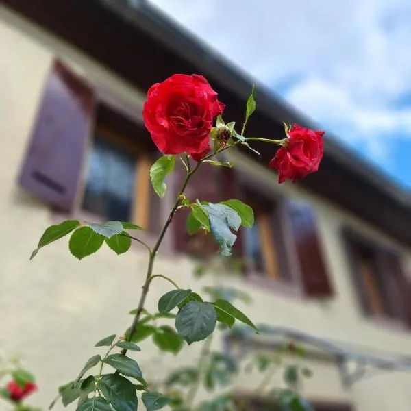 Ferienhaus Auf dem Knapp, hotel em Krautscheid