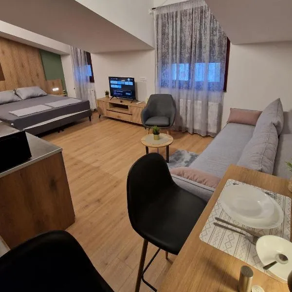 Apartmani i sobe PARK, hotel in Apatin