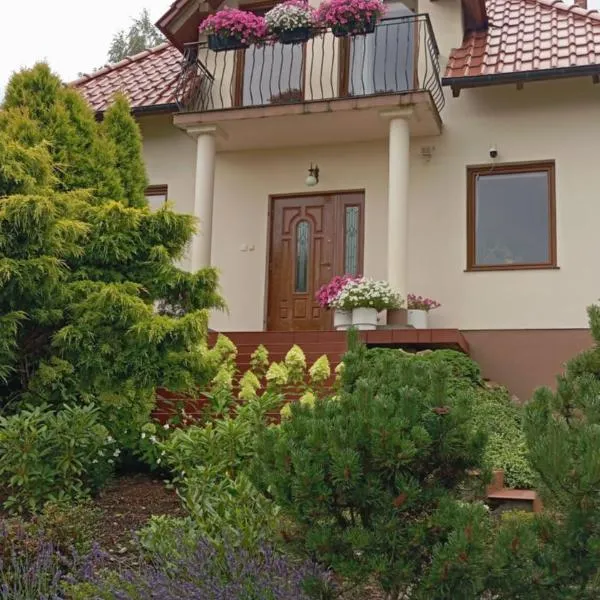 Przytulne Studio Borówkowy Zagajnik, hotel v destinaci Piechowice