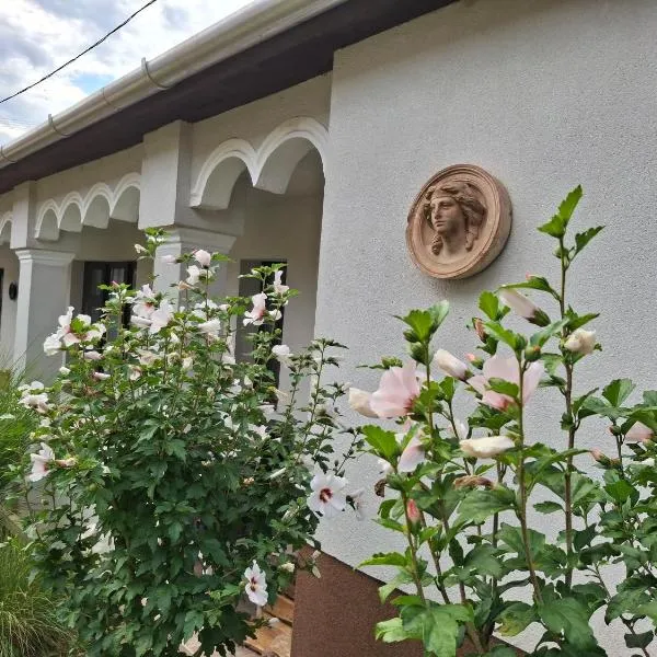 Téli Berek Vendégház, hotel in Abod
