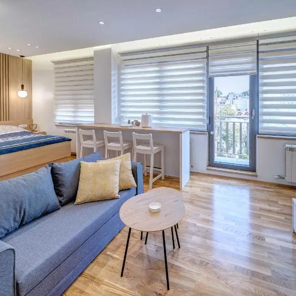Jacuzzi Spa King Apartments FREE PARKING, hotel di Beograd