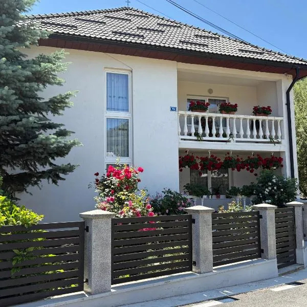 Pensiunea Grapini, ξενοδοχείο σε Şanţ