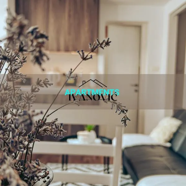 Apartments Ivanović, hotel v destinaci Idrija