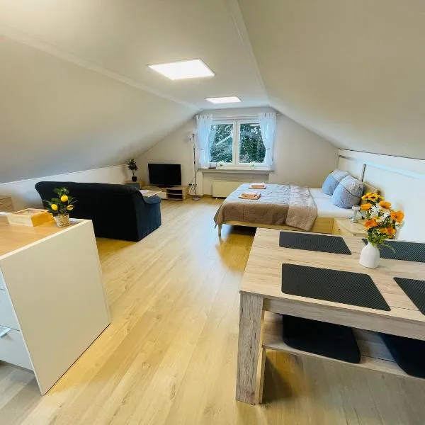 Klimatisierte Ferienwohnung in Seenähe, hotel in Zülpich
