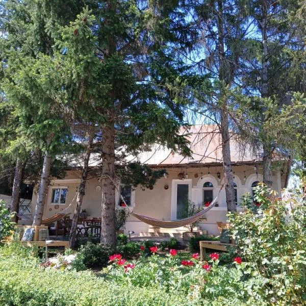 Casa de Vacanta Nora, hotel in Oveselu