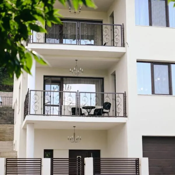 Flori House, hotel di Deva