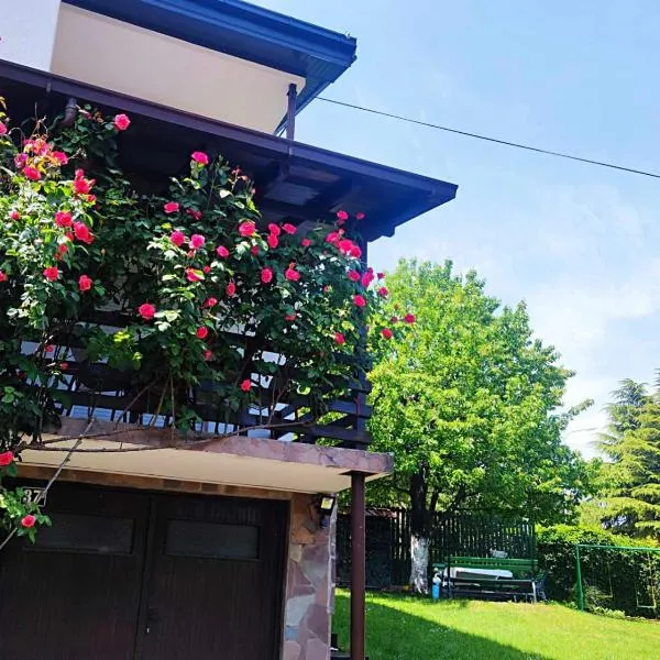 ZNK Family House, hotel in Skopje