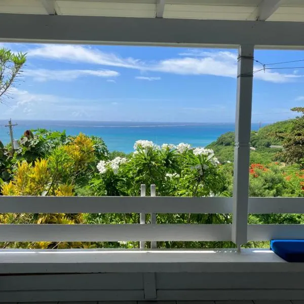 Paradise View at Halcyon Heights l Stunning Ocean View 1BR l 10 minute walk to the Beach, hotel in Dickenson Bay