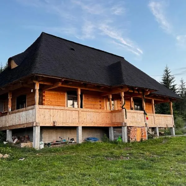 Poiana cu Sinziene, hotel in Neagra Şarului