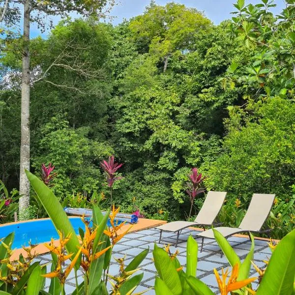 Villas Pura Vida - Guapinol, hotel a Río Negro