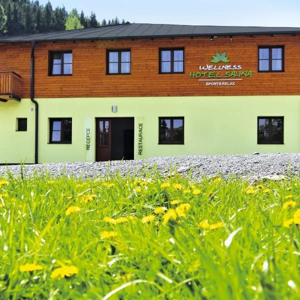 Wellness hotel Sauna, hotel in Karlov