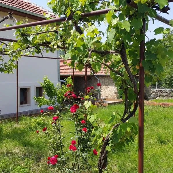 Guest House Art Eco Land, ξενοδοχείο σε Vetrintsi