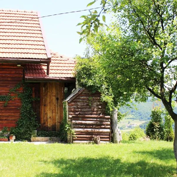 Visoko Gorani Cottage, готель у місті Lješevo