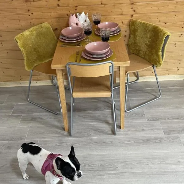 Schicke Ferien- und Monteurswohnung 53 qm Philippsburg, ξενοδοχείο σε Philippsburg