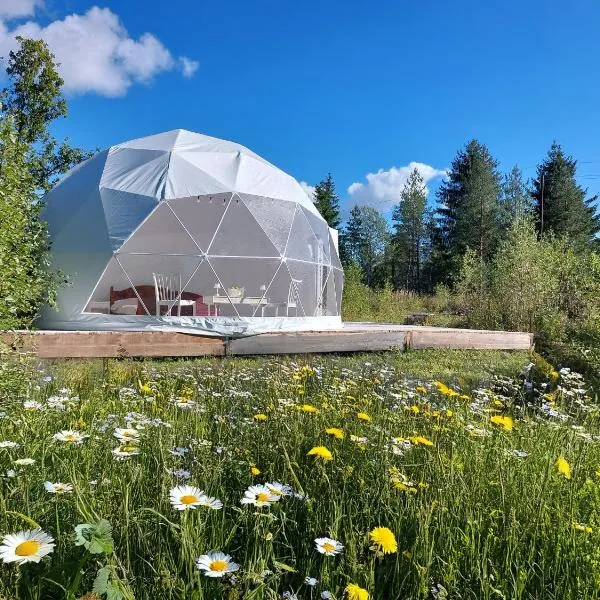Bubble House glamping telk, отель в городе Sõmeru