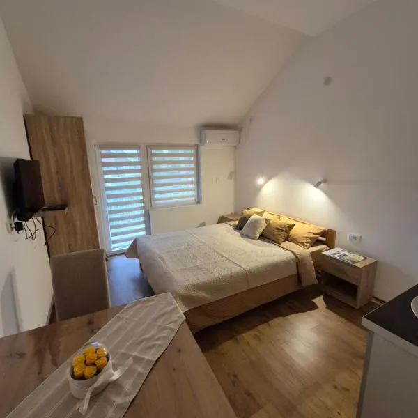 Oaza studio 1, hotel v destinaci Soko Banja