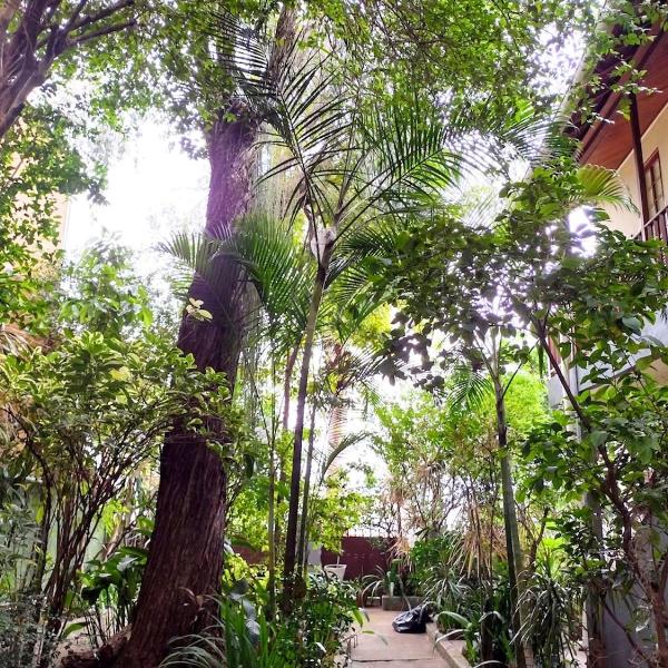 Casa com mini floresta, a paz ao lado do Centro - Foto 3
