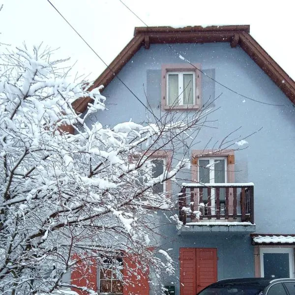 La Petite demeure, hotel in Le Hohwald