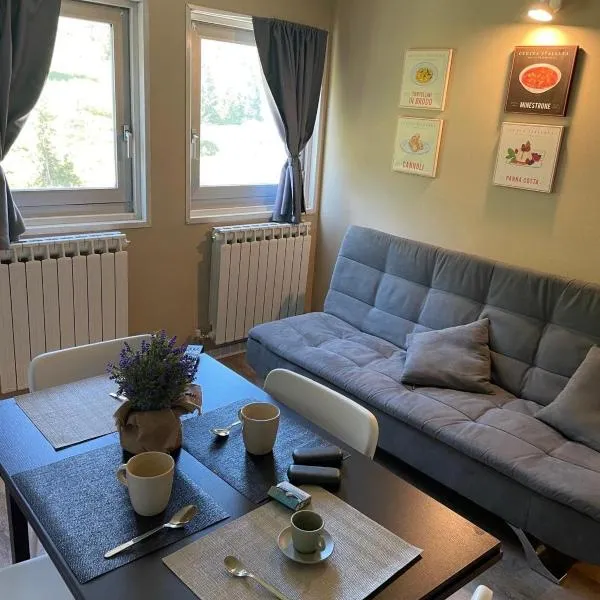 Ski Apartment, hotel in Passo del Tonale