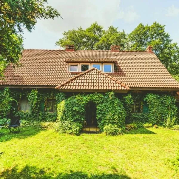 Glinki - Leśna oaza z kominkiem 20 min od Torunia, hotell 