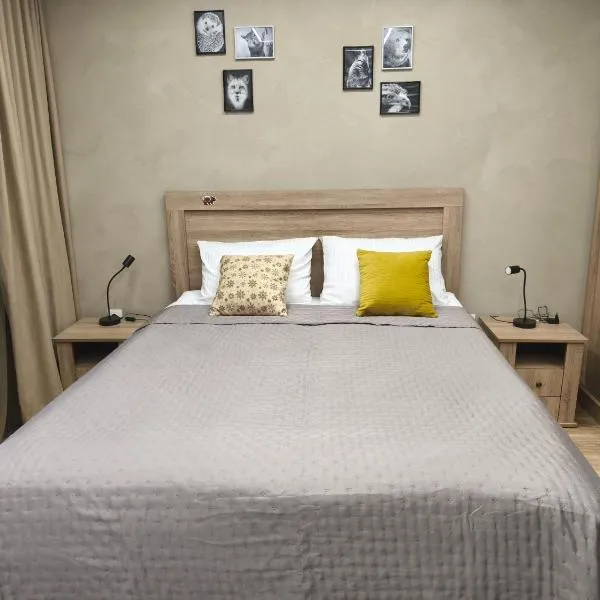 Borovets Gardens Forest STUDIO A3, hotel in Borovets