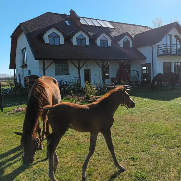 Gospodarstwo Agroturystyczne Bogdanówka, hotel in Rossosz