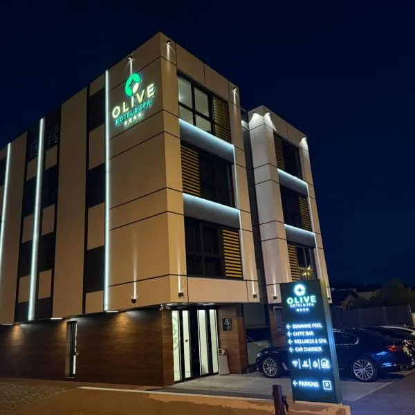 Hotel Spa Olive, hotel v destinaci Mostar
