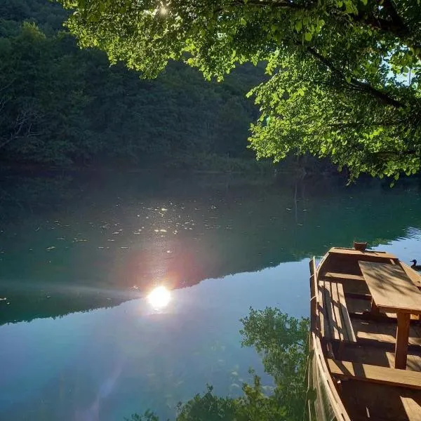 Seosko domacinstvo Halil & Alema, hotell i Ćukovi