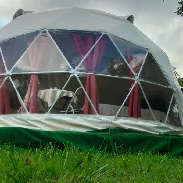 Villa Malibu ', hotel in Lauria