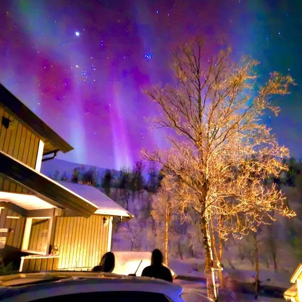 Riverfront house with 98 inch TV, ps5 & activities, hotel in Narvik